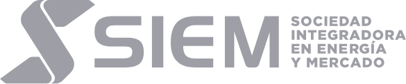 Logo de SIEM